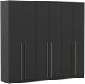 Fabryka Mebli Idźczak Kleiderschrank Drehtürenschrank, Schlafzimmerschrank, Optisch, 16 mm, 210 cm